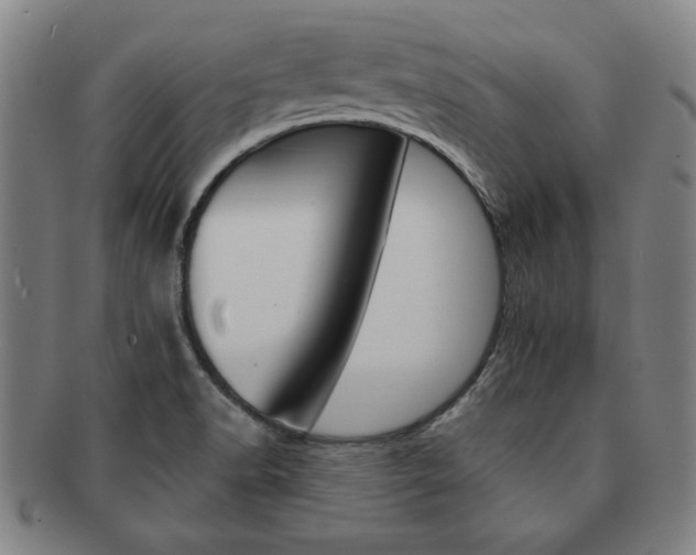 X0000091651518200708230959