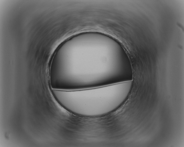 X0000091651519200708230959