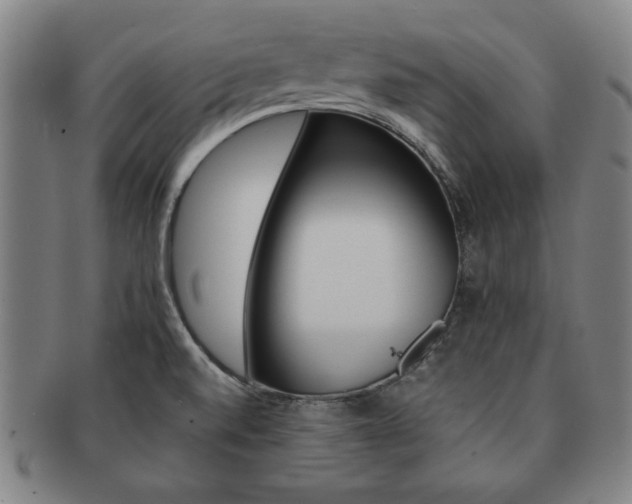 X0000091651520200708230959