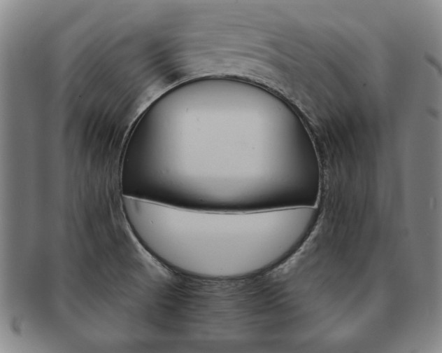 X0000091651521200708230959