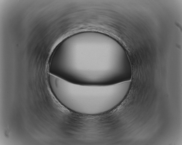 X0000091651522200708230959
