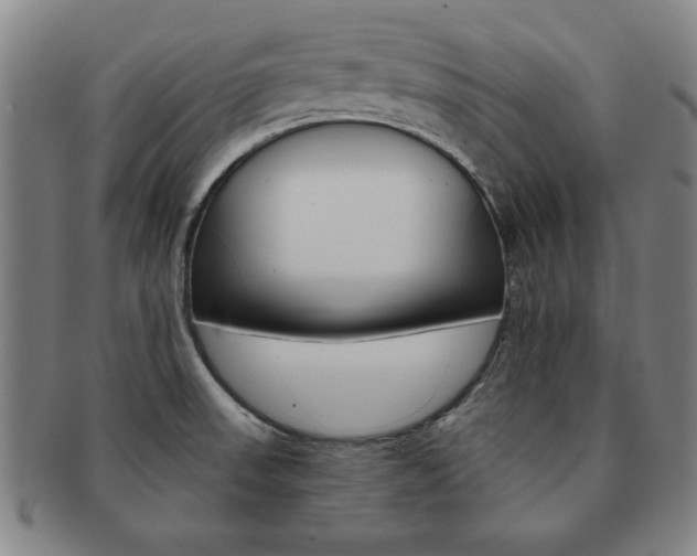 X0000091651523200708230959