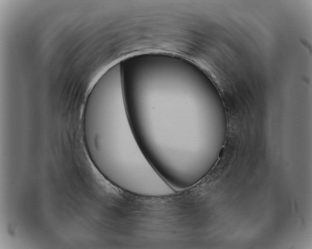 X0000091651524200708230959