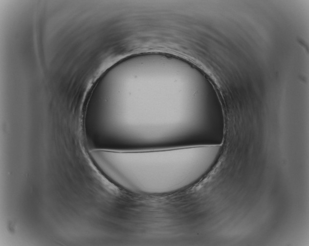 X0000091651525200708230959