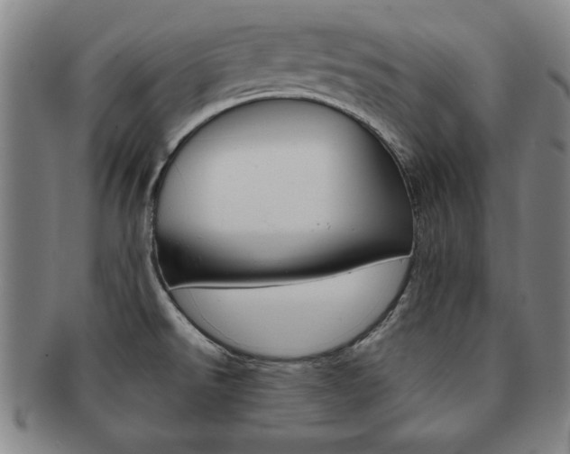 X0000091651526200708230959