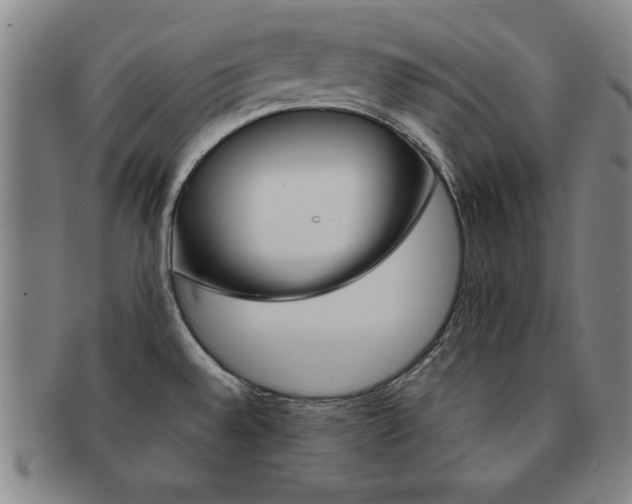 X0000091651528200708230959