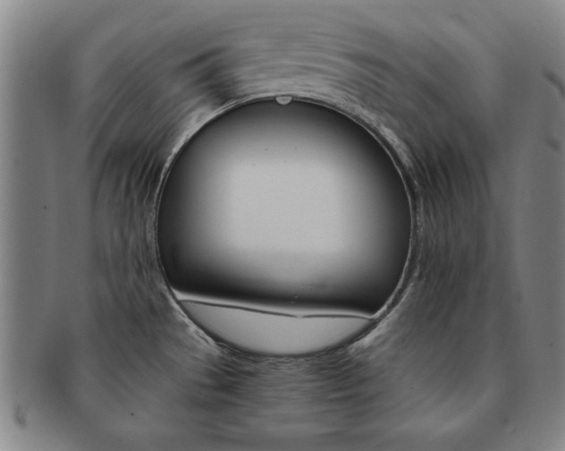 X0000091651529200708230959