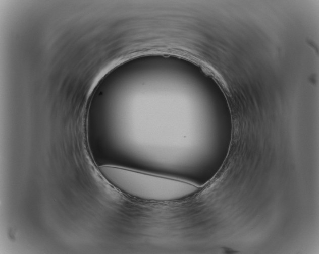 X0000091651530200708230959