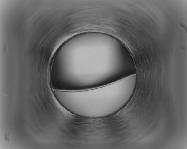 X0000091651531200708230959