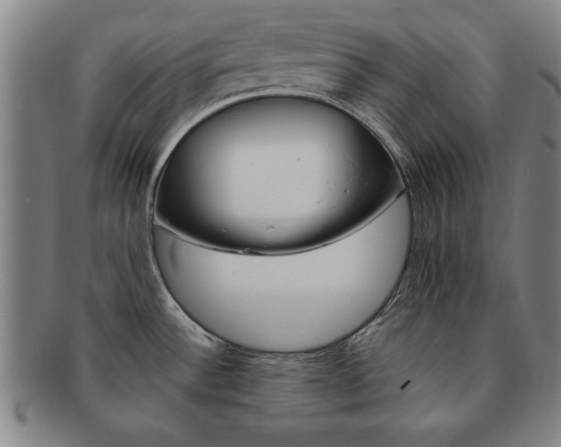 X0000091651532200708230959