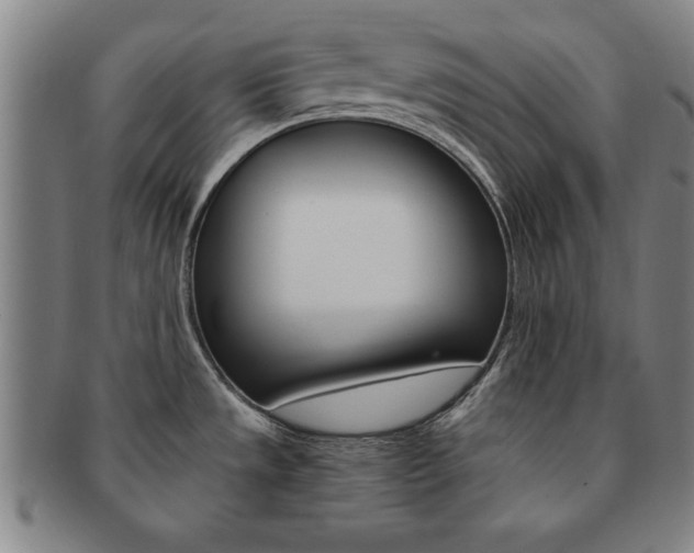 X0000091651533200708230959