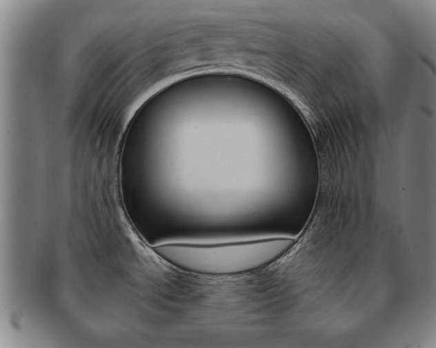 X0000091651534200708230959
