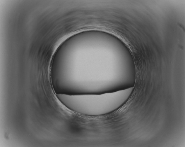 X0000091651535200708230959