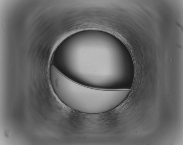 X0000091651536200708230959