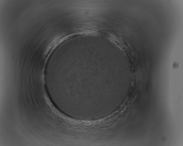 X0000091650002200708231231