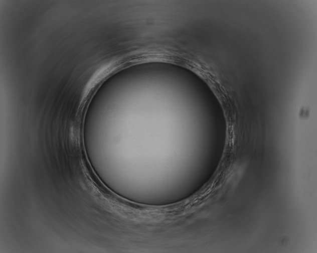 X0000091650004200708231231