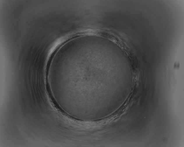 X0000091650006200708231231