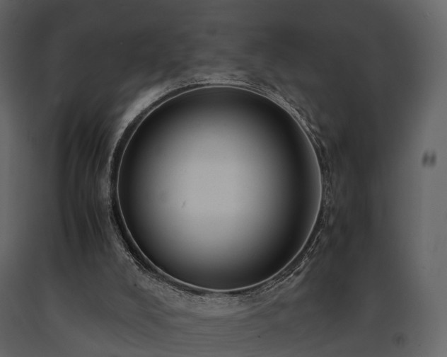 X0000091650008200708231231