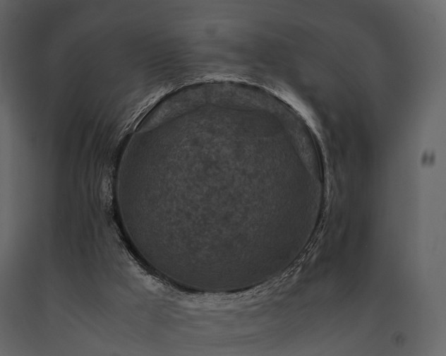 X0000091650009200708231231