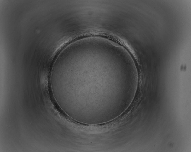 X0000091650010200708231231