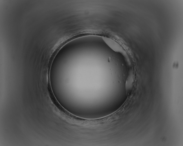 X0000091650011200708231231