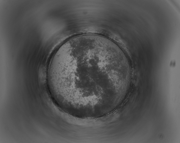 X0000091650012200708231231