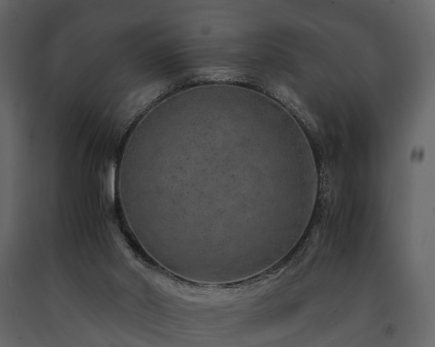 X0000091650014200708231231