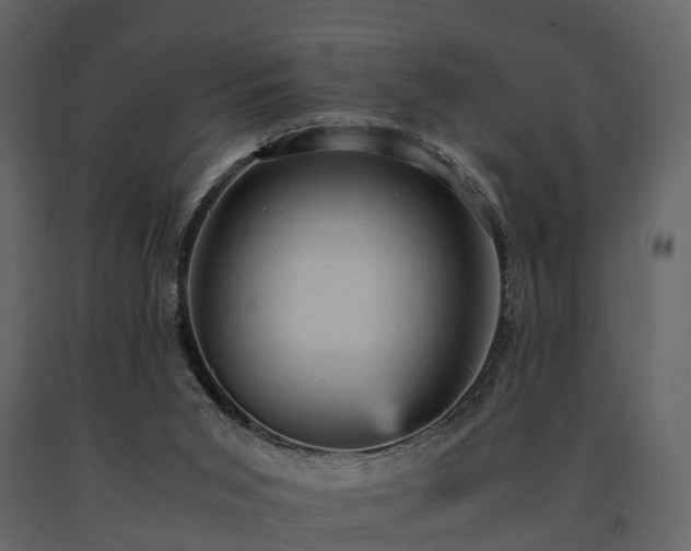 X0000091650015200708231231
