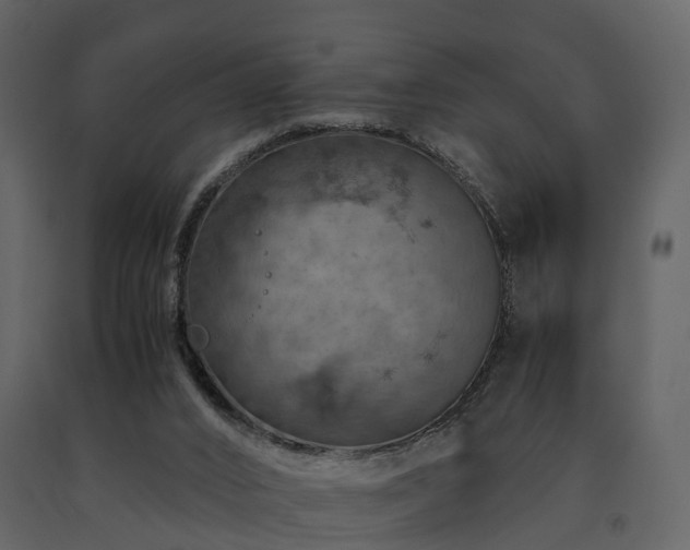 X0000091650016200708231231