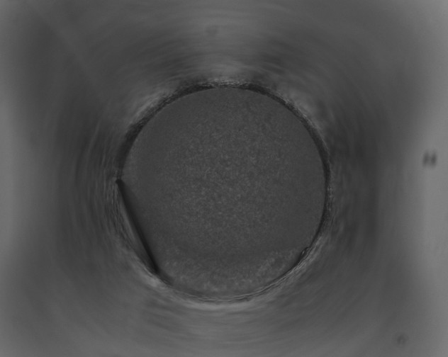 X0000091650017200708231231