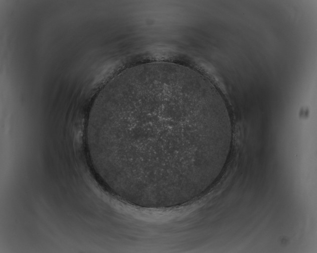 X0000091650018200708231231