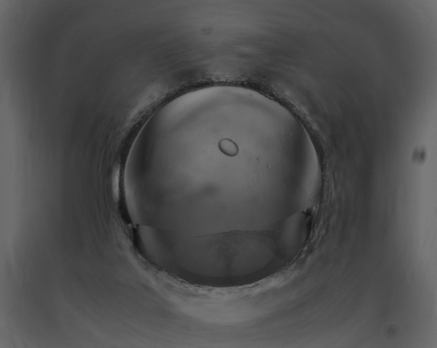 X0000091650019200708231231