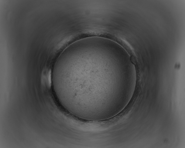X0000091650020200708231231