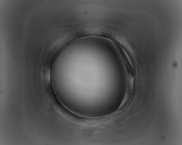 X0000091650021200708231231
