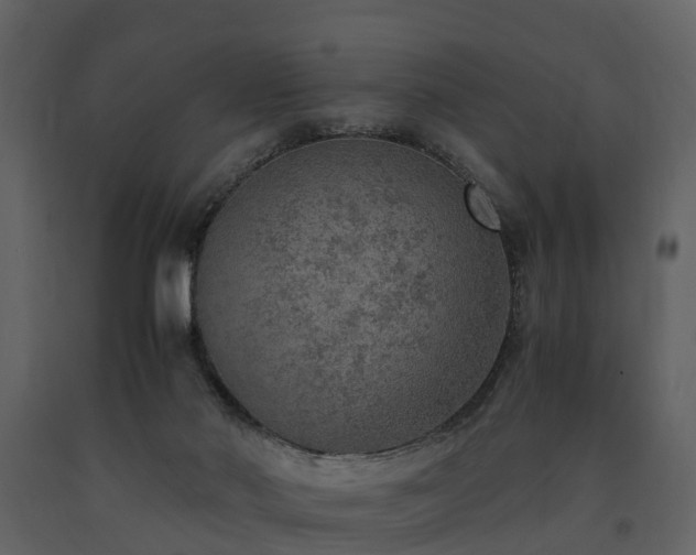 X0000091650022200708231231