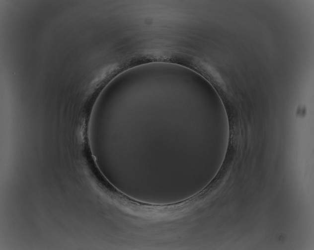 X0000091650023200708231231