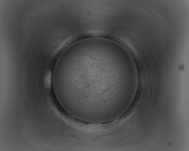 X0000091650024200708231231