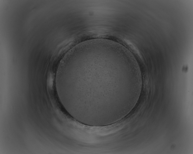 X0000091650026200708231231