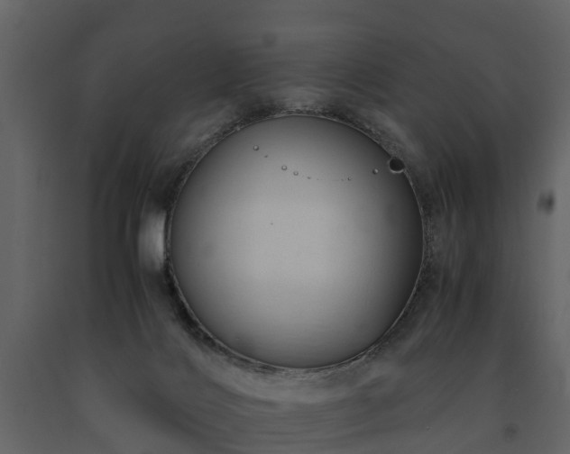 X0000091650028200708231231