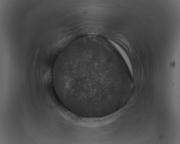 X0000091650029200708231231