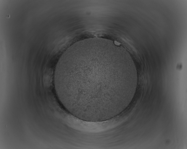 X0000091650030200708231231