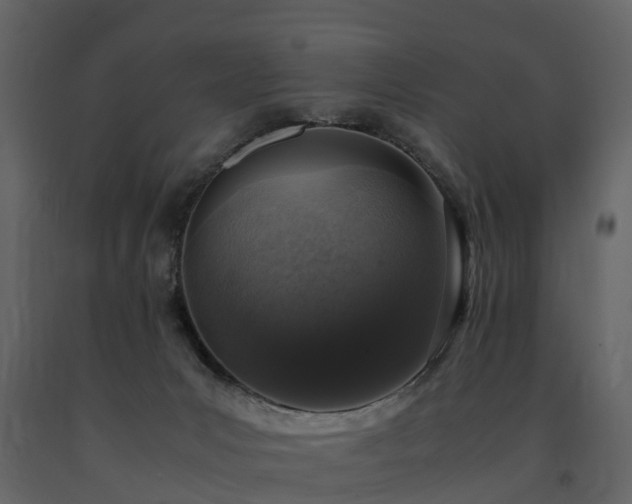 X0000091650031200708231231