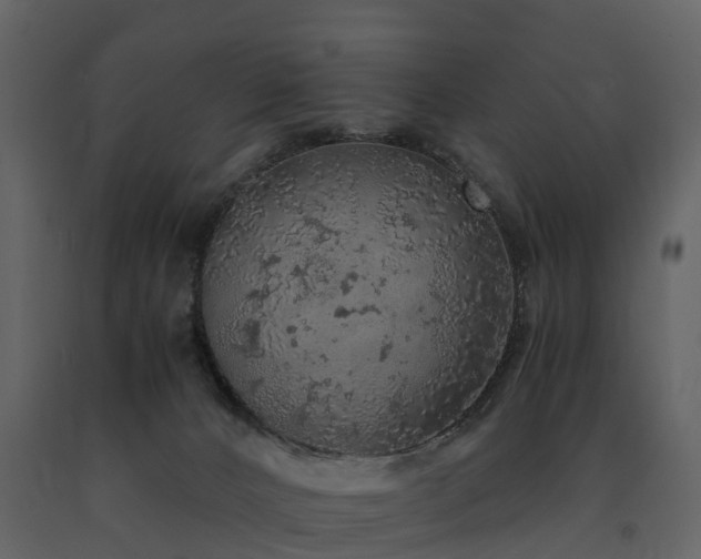 X0000091650032200708231231