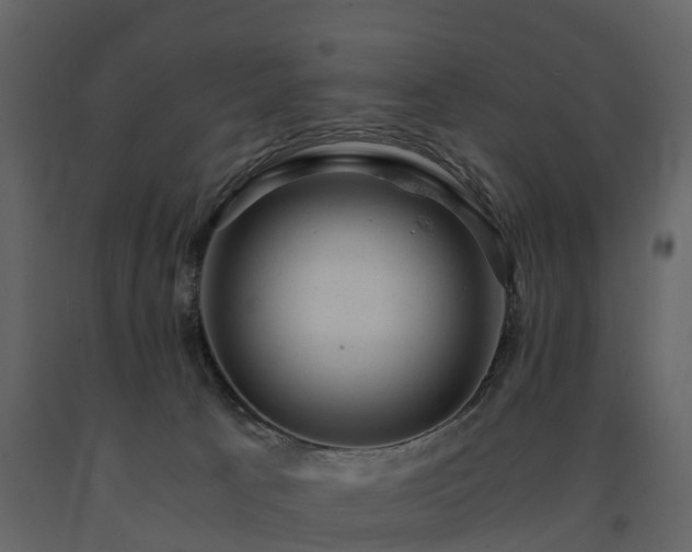 X0000091650033200708231231