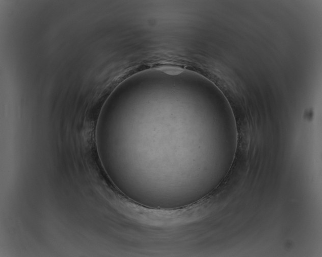 X0000091650034200708231231