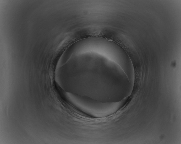 X0000091650035200708231231