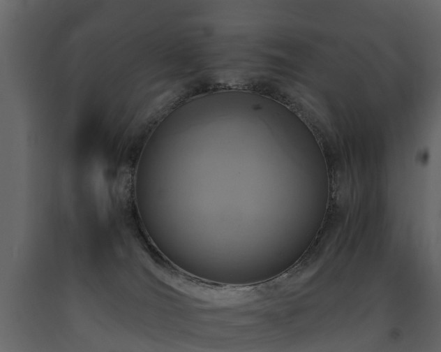 X0000091650036200708231231