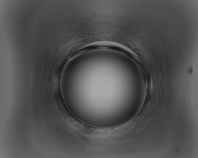 X0000091650037200708231231