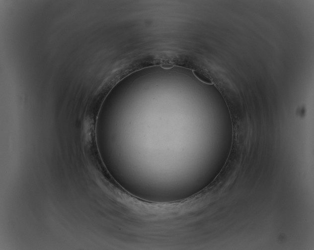 X0000091650038200708231231