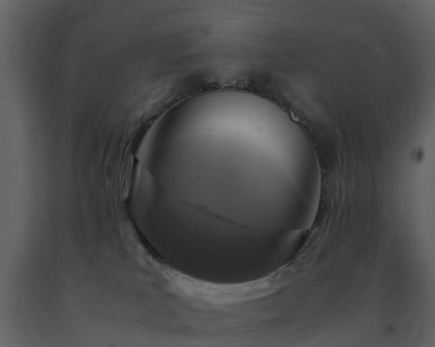 X0000091650039200708231231